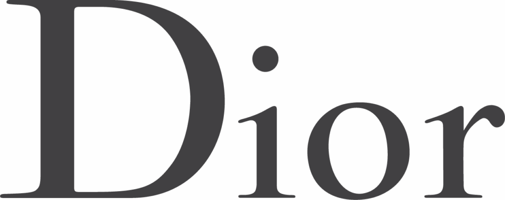 Dior logo in elegant serif font